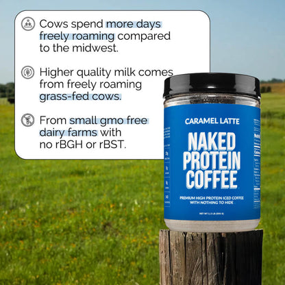 Caramel Latte Protein Iced Coffee - Caramel Latte for Smooth Iced Coffee Protein Routines