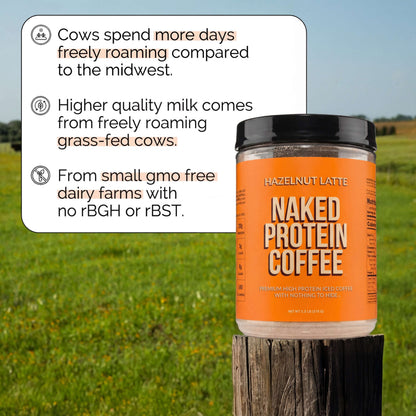 Hazelnut Latte Protein Iced Coffee - Hazelnut Latte for Smooth Iced Coffee Protein Routines