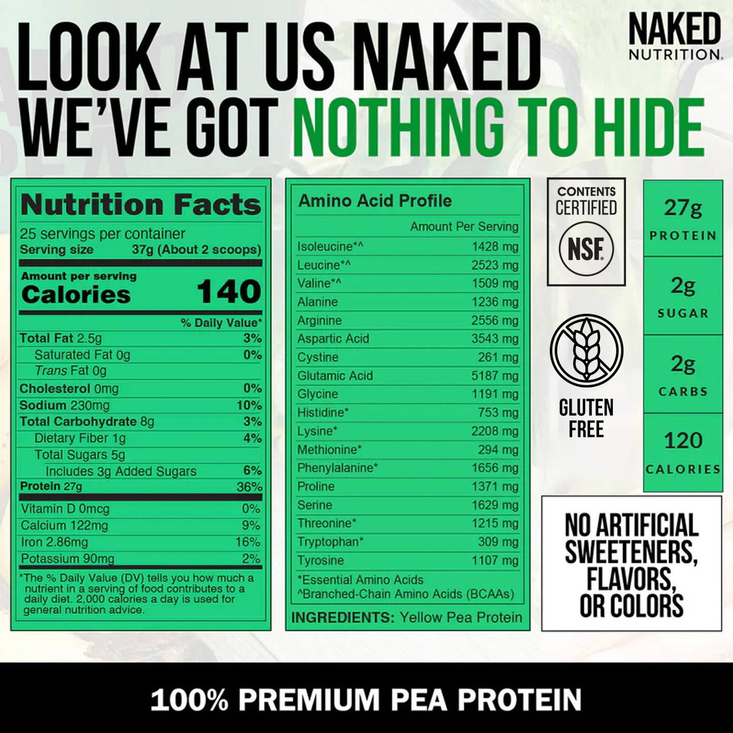 Pea Protein Powder - Unflavored - Standard Size for Convenient Daily Protein Mixing