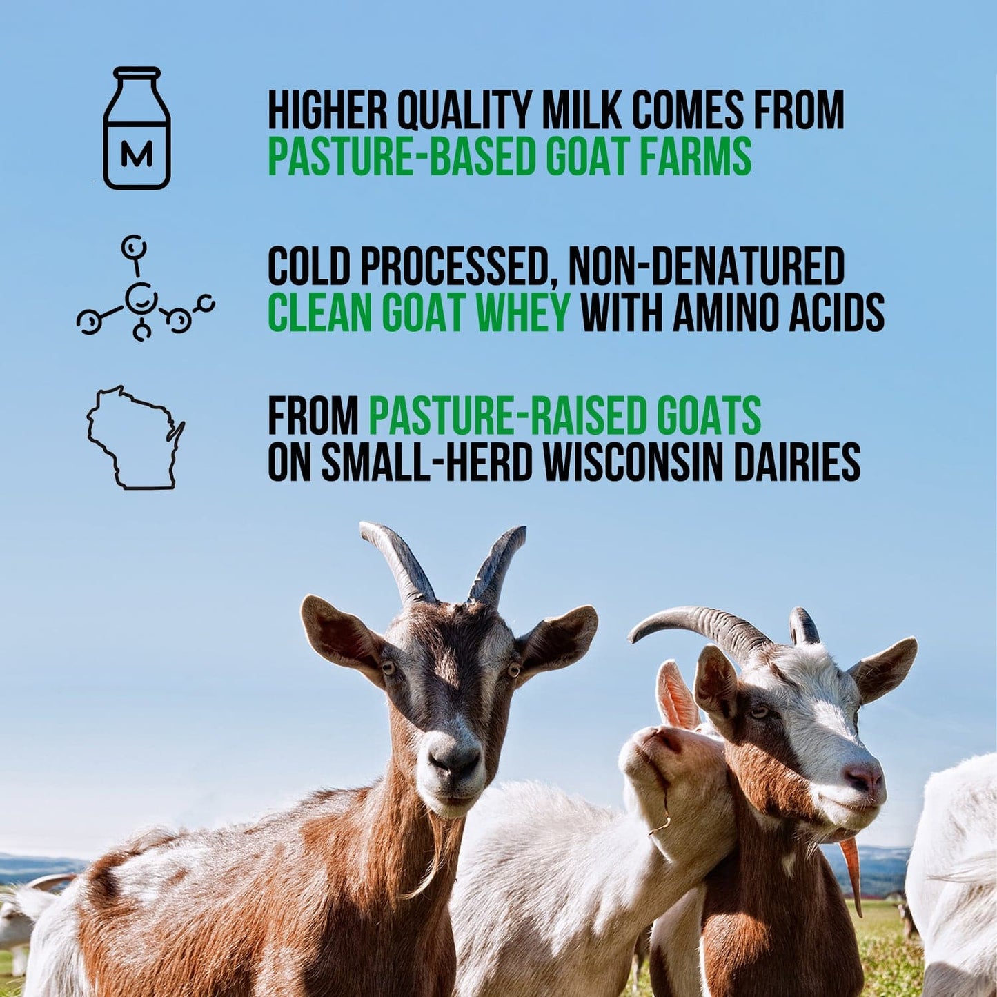 Goat Whey Protein Powder - Unflavored for Convenient Daily Protein Mixing