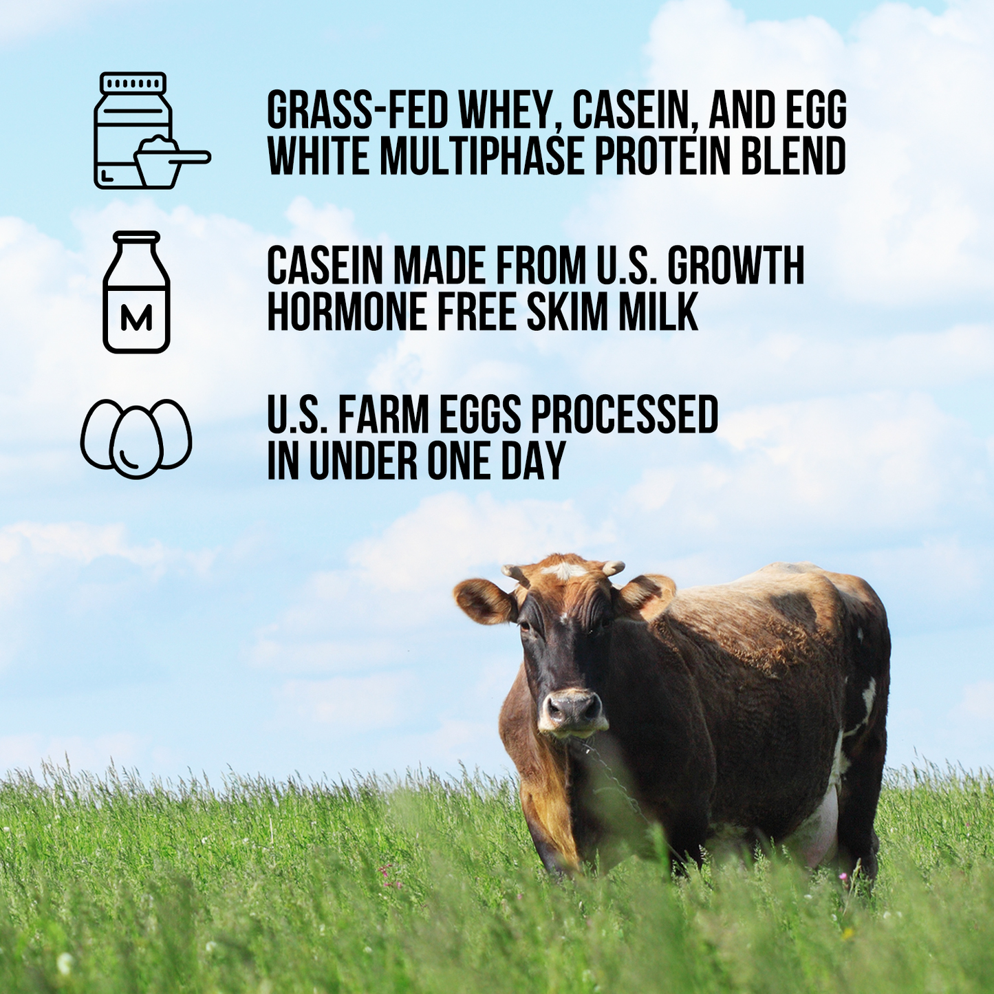 Protein Powder Blend - 1LB Egg Whey and Casein Protein Blend - 1LB for Convenient Daily Protein Mixing