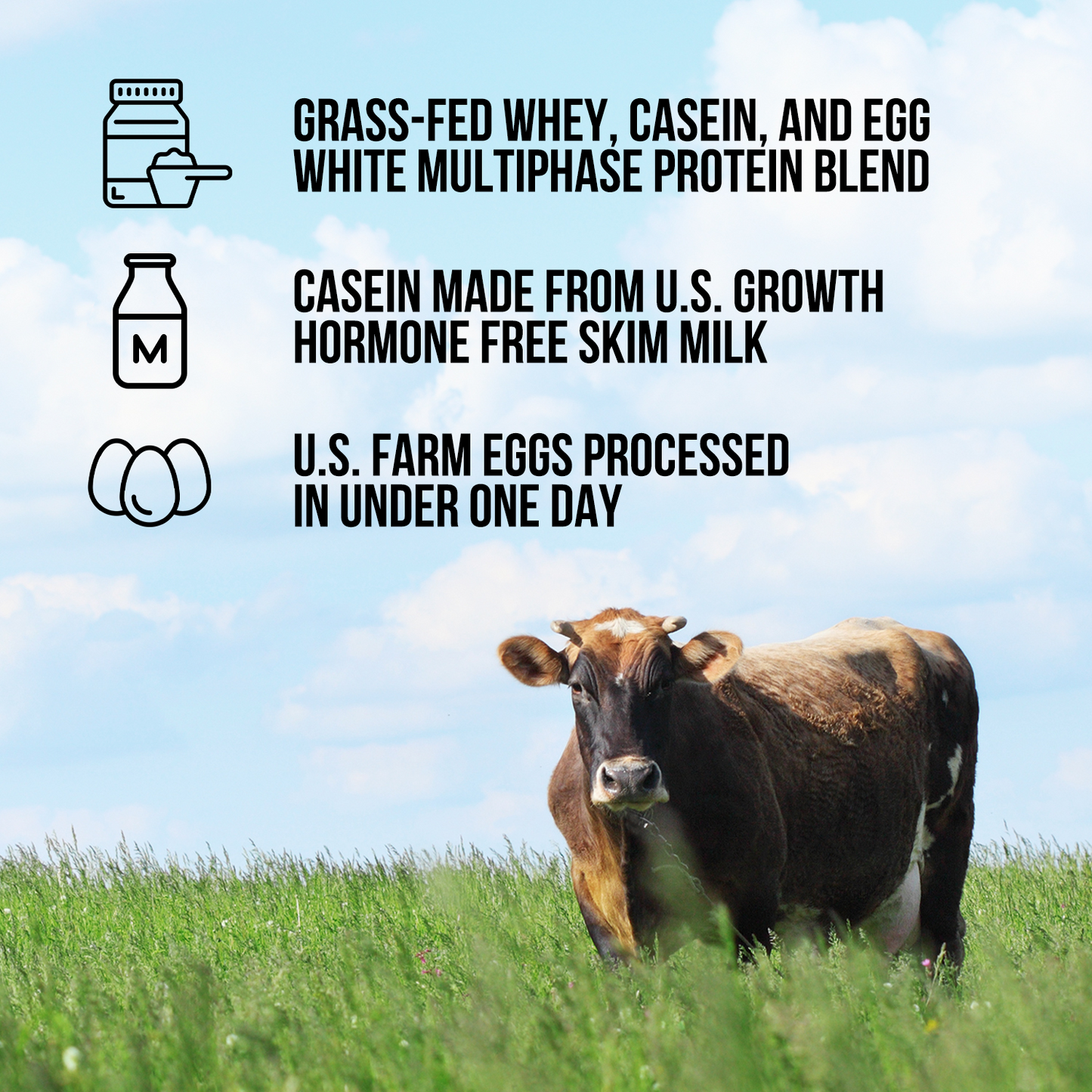 Protein Powder Blend - 3LB Egg Whey and Casein Protein Blend - 3LB for Convenient Daily Protein Mixing