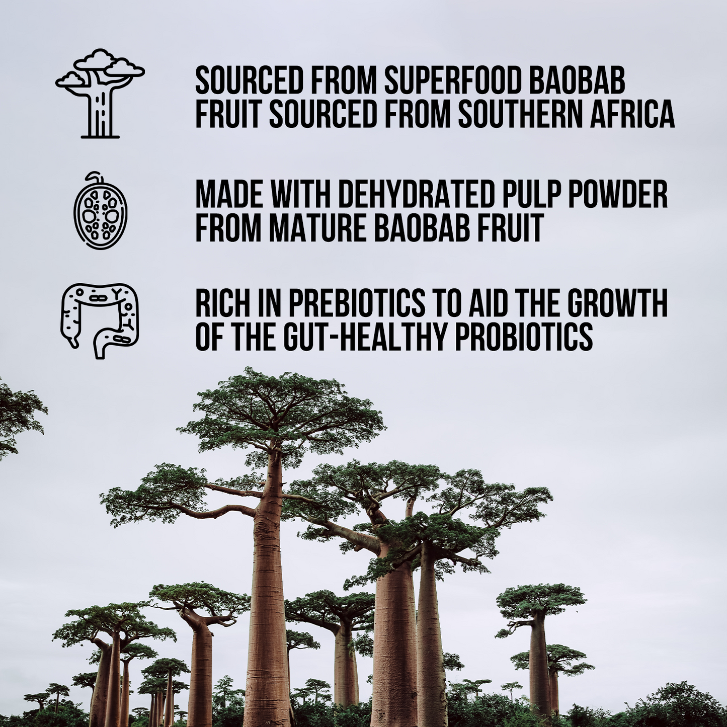 Organic Fiber Supplement for Straightforward Daily Mixing